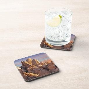 USA, California, Joshua Tree National Park Coaster