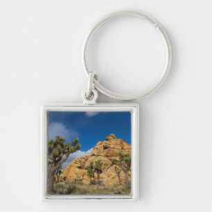USA, California, Joshua Tree National Park Key Ring