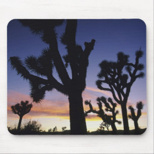 USA, California, Joshua Tree National Park, Mouse Pad