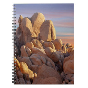 USA, California, Joshua Tree National Park Notebook