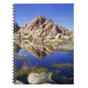 USA, California, Joshua Tree National Park, Notebook