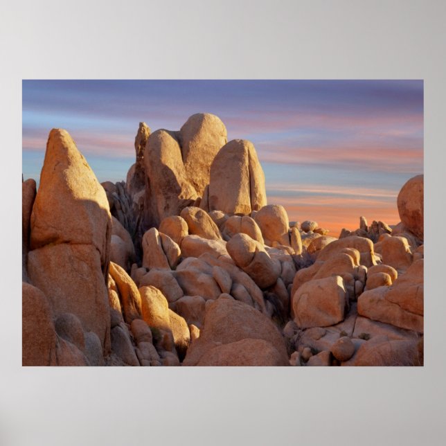 USA, California, Joshua Tree National Park Poster (Front)