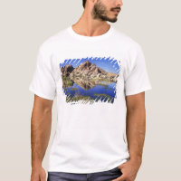 USA, California, Joshua Tree National Park,