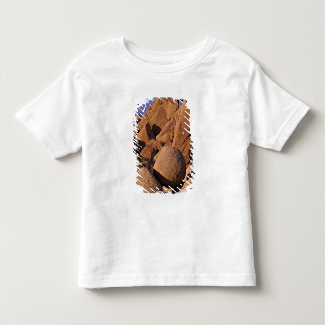 USA, California, Joshua Tree National Park. Toddler T-Shirt (Front)
