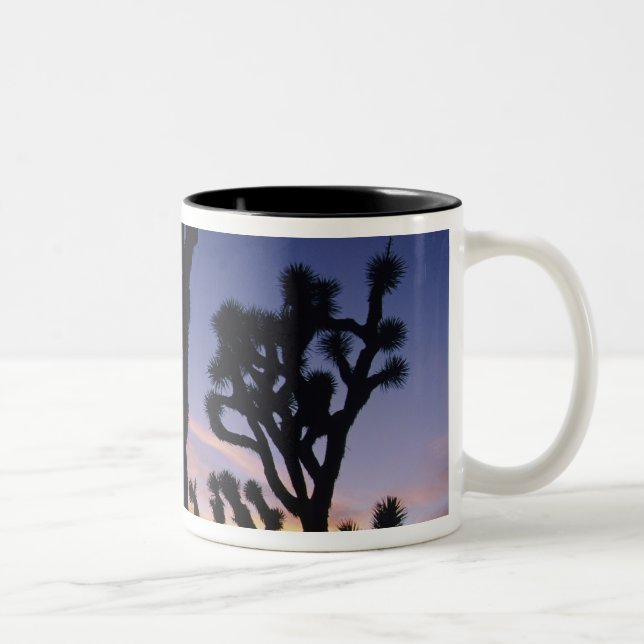 USA, California, Joshua Tree National Park, Two-Tone Coffee Mug (Right)