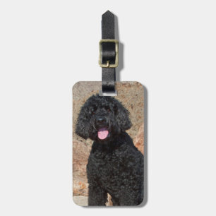 USA, California. Labradoodle Sitting Luggage Tag