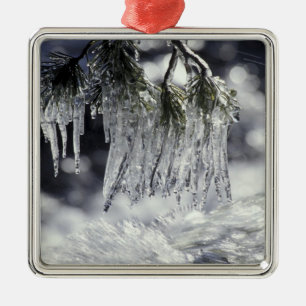 USA, California, Lake Tahoe. Icicles over Metal Tree Decoration