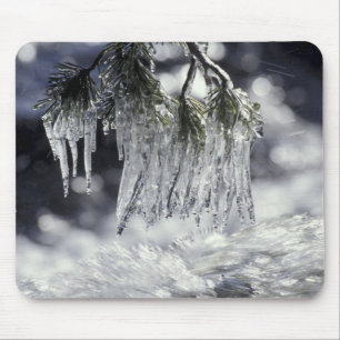 USA, California, Lake Tahoe. Icicles over Mouse Pad