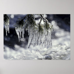 USA, California, Lake Tahoe. Icicles over Poster