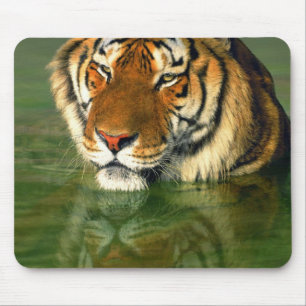 USA, California, Los Angeles County. Bengal Mouse Pad