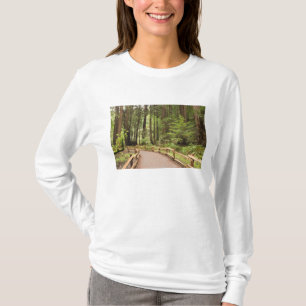USA, California, Marin County, Muir Woods T-Shirt