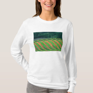 USA, California, Mendocino County, a trellised T-Shirt
