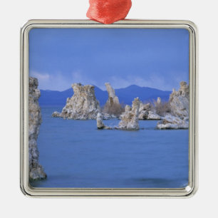 USA, California, Mono Lake Metal Tree Decoration