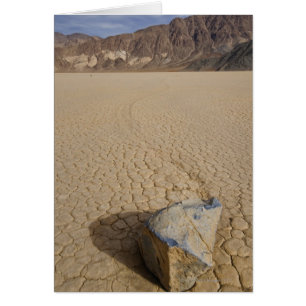 USA, California, Moving rock in desert 2