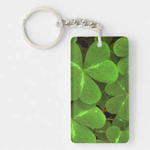 USA, California, Muir Woods. Close-up of clover Key Ring