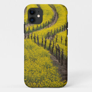 USA, California, Napa Valley, Los Carneros Ava. iPhone 11 Case