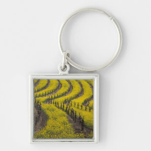 USA, California, Napa Valley, Los Carneros Ava. Key Ring