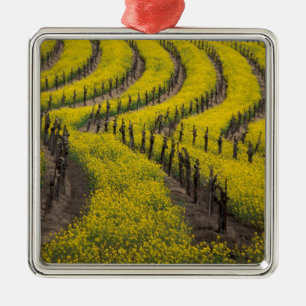 USA, California, Napa Valley, Los Carneros Ava. Metal Tree Decoration