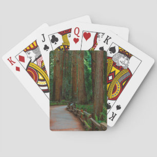 USA, California. Path Among Redwoods In Muir Playing Cards