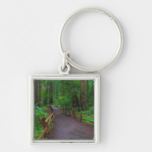 USA, California. Path Among Redwoods Key Ring