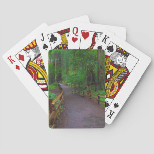 USA, California. Path Among Redwoods Playing Cards
