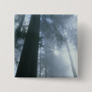 USA, California, Redwood National Park, Del 15 Cm Square Badge