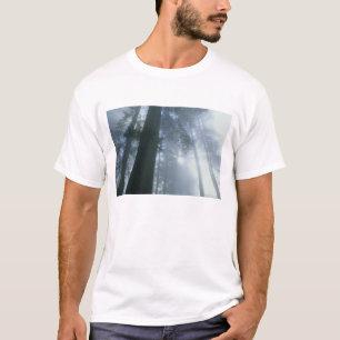 USA, California, Redwood National Park, Del T-Shirt