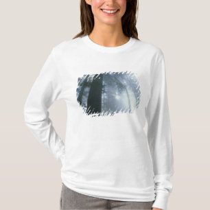 USA, California, Redwood National Park, Del T-Shirt