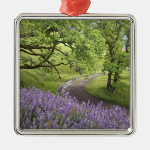 USA, California, Redwood National Park. Dirt Metal Tree Decoration