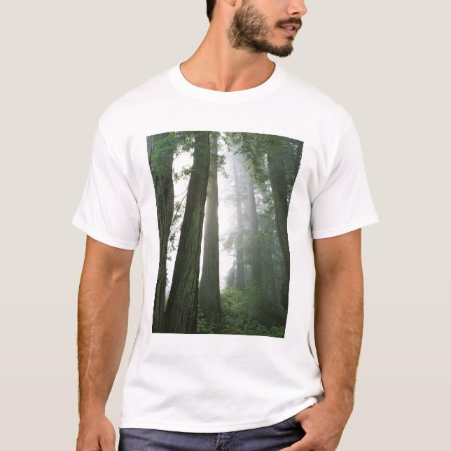 USA, California, Redwood National Park, T-Shirt (Front)