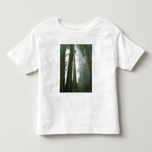 USA, California, Redwood National Park, Toddler T-Shirt