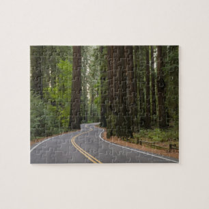 USA, California, road through Redwood forest Jigsaw Puzzle