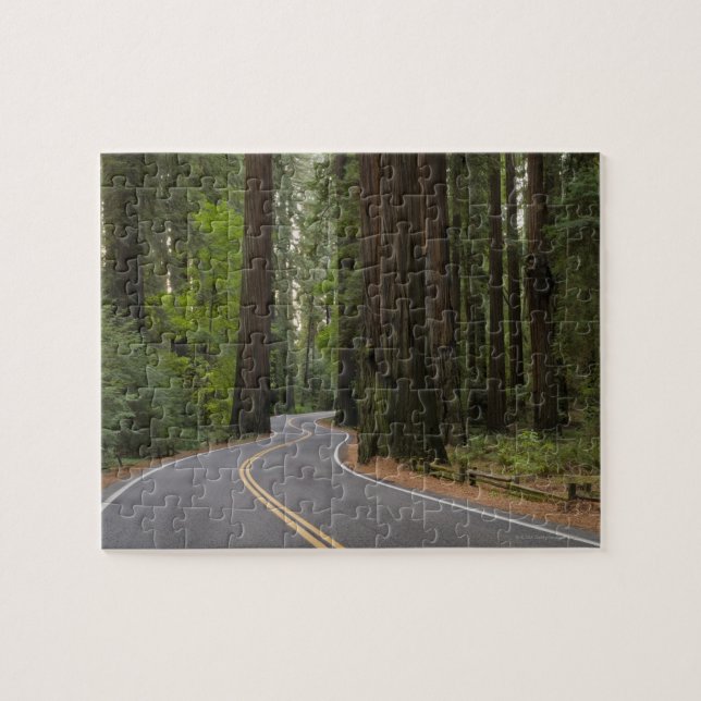 USA, California, road through Redwood forest Jigsaw Puzzle (Horizontal)