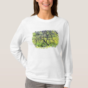 USA, California, San Diego. A burnt oak forest T-Shirt
