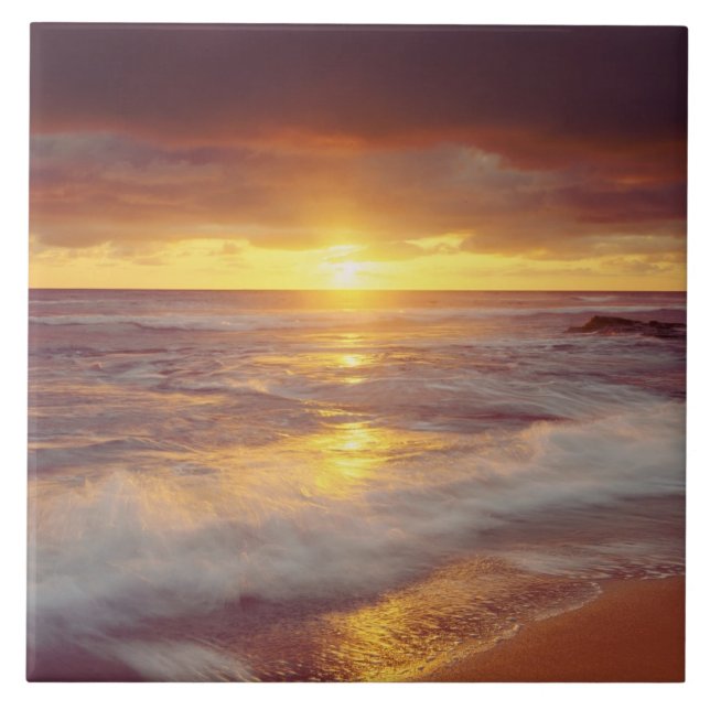 USA, California, San Diego. Sunset Cliffs beach Tile (Front)