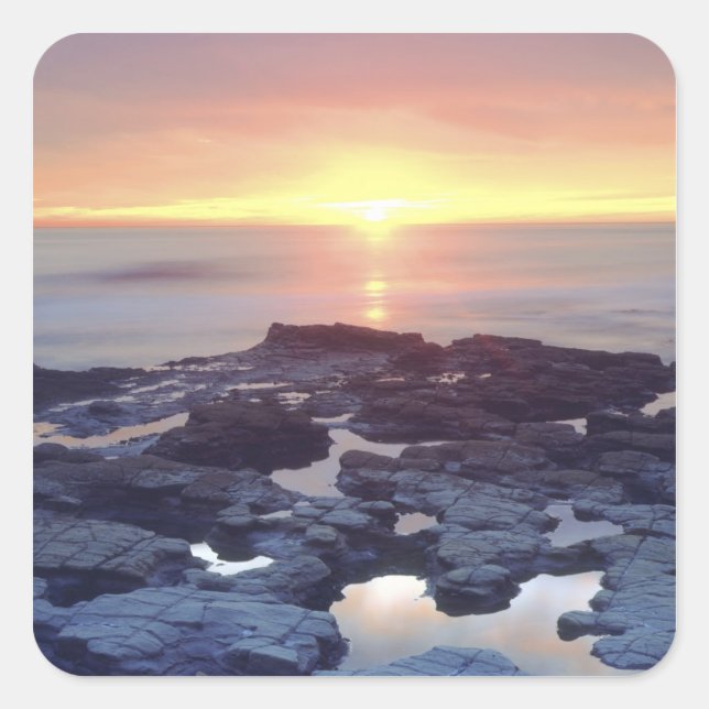 USA, California, San Diego. Sunset Cliffs tide Square Sticker (Front)