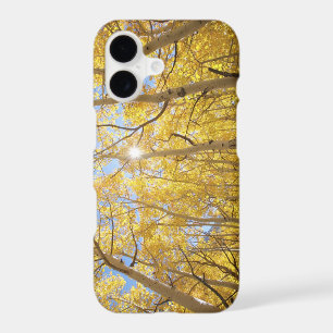 USA, California, Sierra Nevada Mountains. Fall