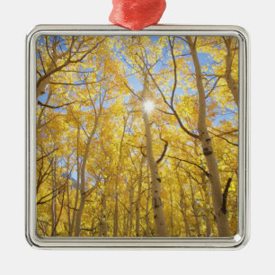 USA, California, Sierra Nevada Mountains. Fall Metal Tree Decoration