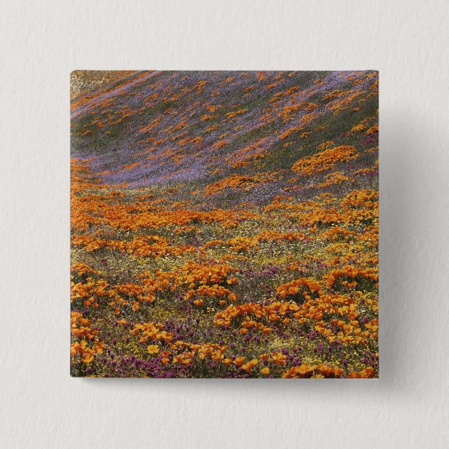USA, California, Tehachapi Mountains, 2 15 Cm Square Badge (Front)