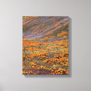 USA, California, Tehachapi Mountains, 2 Canvas Print