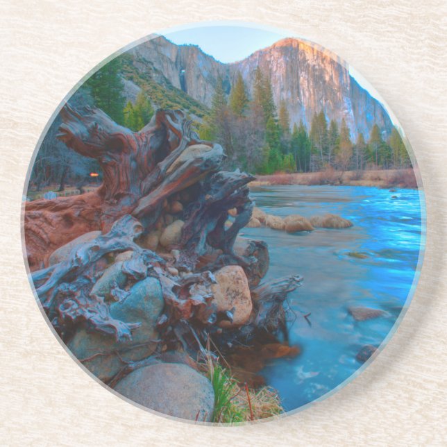 USA, California. Tree Roots In Merced River Coaster (Front)