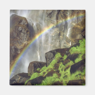 USA, California, Yosemite National Park. A Magnet