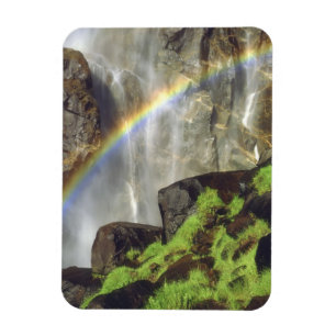 USA, California, Yosemite National Park. A Magnet