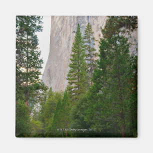 USA, California, Yosemite National Park, El 4 Magnet