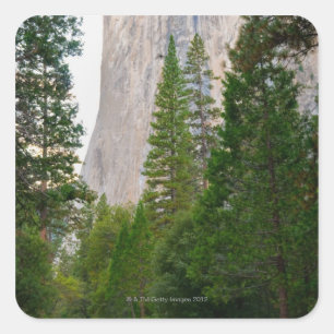 USA, California, Yosemite National Park, El 4 Square Sticker