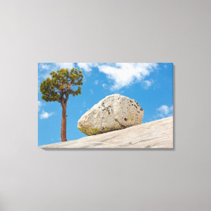 USA, California, Yosemite National Park. Pine Canvas Print