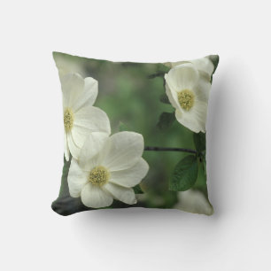 USA, California, Yosemite NP, along Merced Cushion