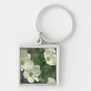 USA, California, Yosemite NP, along Merced Key Ring