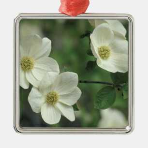 USA, California, Yosemite NP, along Merced Metal Tree Decoration