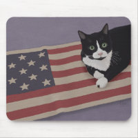 USA Cat